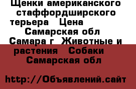 Щенки американского стаффордширского терьера › Цена ­ 25 000 - Самарская обл., Самара г. Животные и растения » Собаки   . Самарская обл.